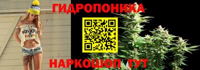 мдпв Дубна