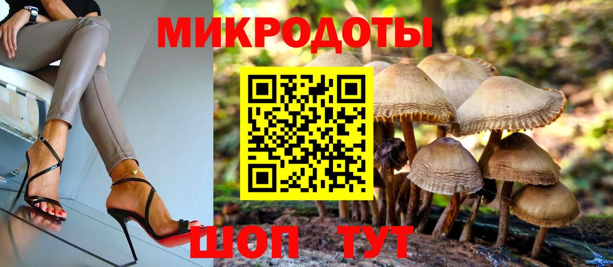Галлюциногенные грибы GOLDEN TEACHER Гусиноозёрск