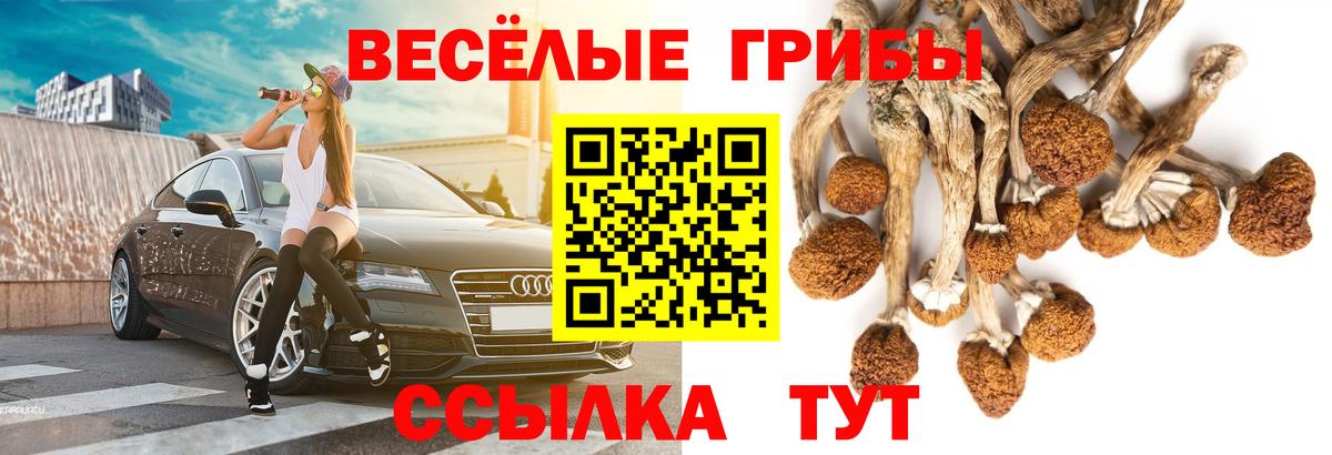 Гусиноозёрск  Галлюциногенные грибы Magic Shrooms  Галлюциногенные грибы GOLDEN TEACHER  Вход с VPN 